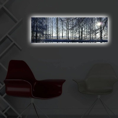 ASIR Nástěnný obraz s LED osvětlením WINTER