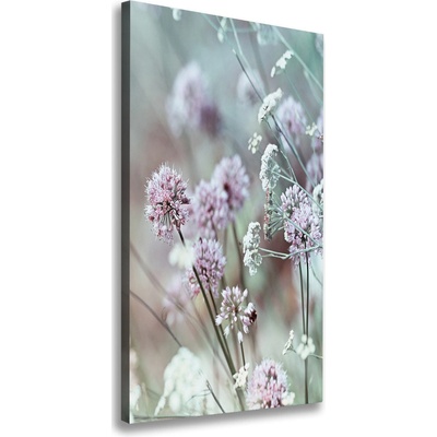 Vertikálny foto obraz na plátne Kvety cesnaku 50x100 cm
