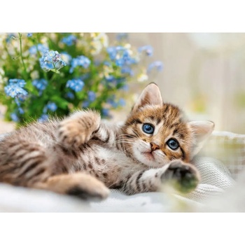 Ravensburger - Puzzle Cuddly kitten - 500 piese