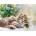 Ravensburger - Puzzle Cuddly kitten - 500 piese