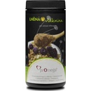 Functional Whole Foods Bio lněný olej pravý 250 ml
