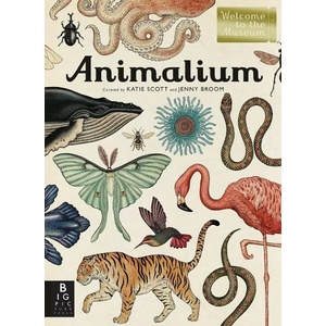 Animalium (ISBN: 9781787411647)