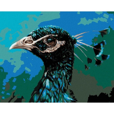 zuty Malování podle čísel Paví profil 50 x 40 cm vypnuté plátno na rám 8596530039211