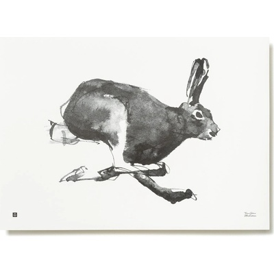 Plagát Mountain Hare 70x50