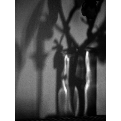 Fotografie - Zátišie 3