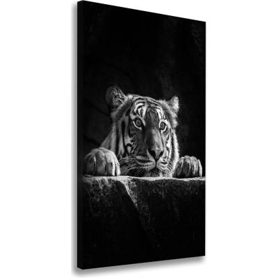 Vertikálny moderný fotoobraz canvas na ráme Tiger 50x100 cm
