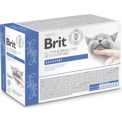 Brit VD Cat Fillets in Gravy Recovery 12 x 85 g