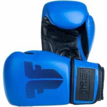 Fighter AMATEUR