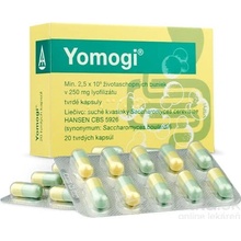 Yomogi cps.dur.20 x 250 mg