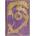 Slovart Violet Fairy Mini