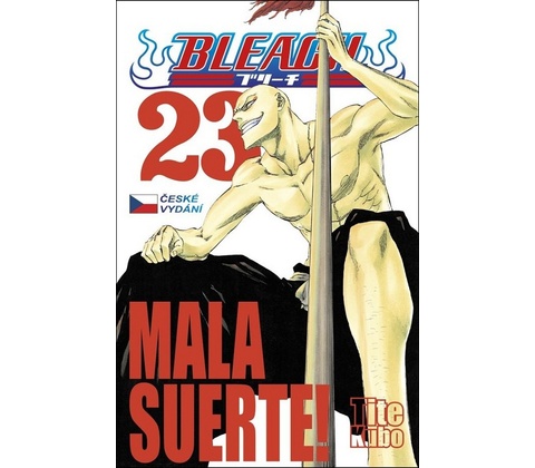 Bleach 23: Mala suerte!