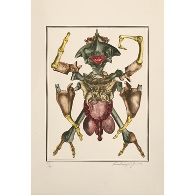 Jan Švankmajer: Brouk