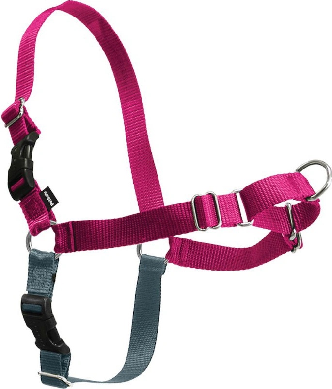 PetSafe Easy Walk Harness od 9