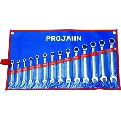 PROJAHN Ключ звездогаечен с тресчотка 6-19 мм комплект, 14 броя Projahn