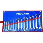 PROJAHN Ключ звездогаечен с тресчотка 6-19 мм комплект, 14 броя Projahn