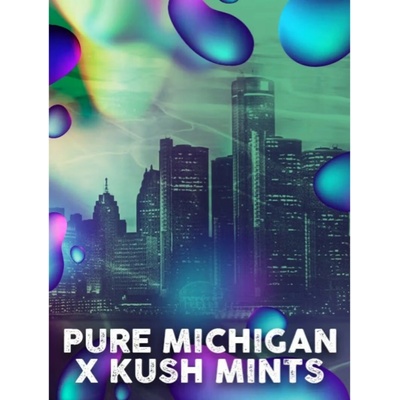 Tramuntana Seeds Michigan Mints semienka neobsahujú THC 3 ks