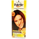 Barvy na vlasy Pallete Color Shampoo mahagonový 217