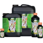 ATAMI ata xl 5l