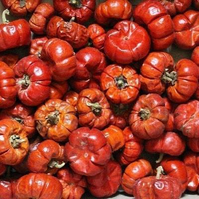 MINI PUMPKIN LOOSE RED POLY BAG ( 500 g )