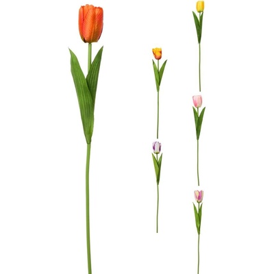 SUPER CENA! KS TULIPÁN 6F 48cm