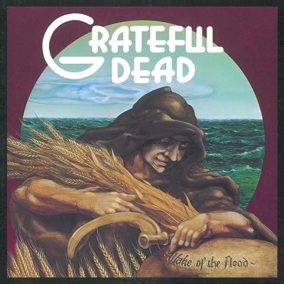 The Grateful Dead - Wake Of The Flood - picture Disc LP