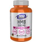 NOW NOW HMB 500 mg, 120 Veg Capsules