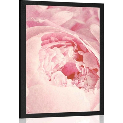 Plakát lupínky květu - 20x30 black