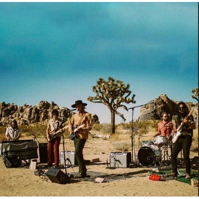 Night Beats: Levitation Sessions CLR LP