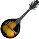 Stagg M40 S