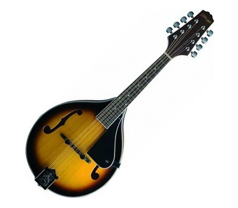 Stagg M40 S