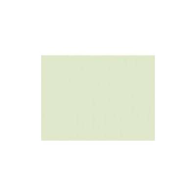 Rosco 245 Half plus green
