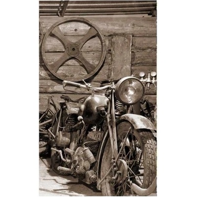 DIMEX ART Флизелинов фототапет старинен гараж 150 x 250 см