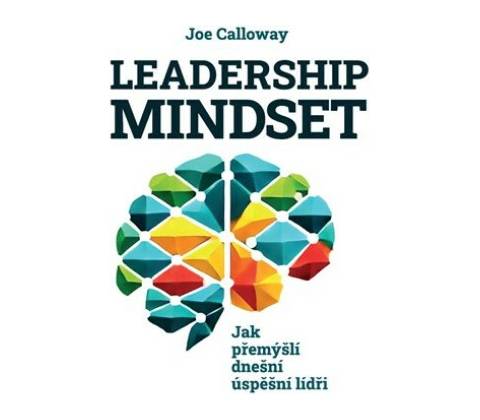 Leadership mindset