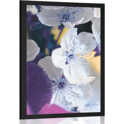 Plakát kvetoucí větvička třešně - 60x90 no frame
