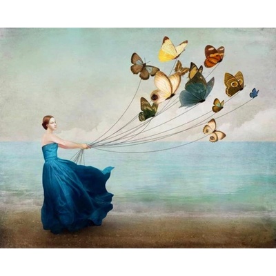 Malování podle čísel Dáma s motýly