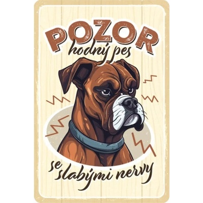 Postershop Plechová ceduľa: Pozor hodný pes - 20x30 cm