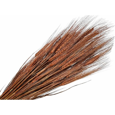 Sušené klasy ražné 150g - hnedé