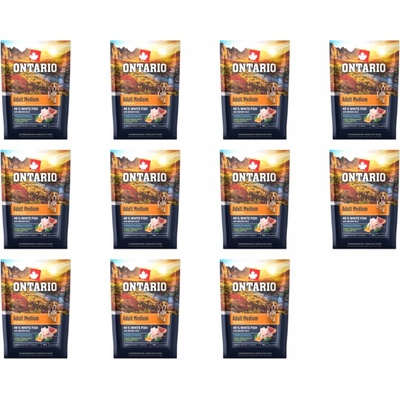 Ontario Vzorek Adult Medium Fish & Brown Rice 0,1 kg 11 x