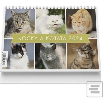 Kočky a koťata stolní 2024