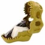 LEAN Toys Archaeological Dig Set Dinosaurs Fossils Skull