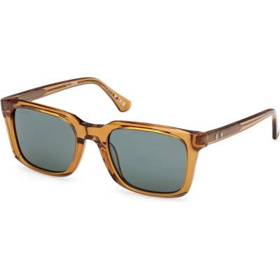 Web Eyewear WE0388 39N (WE0388 39N)