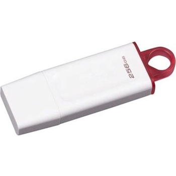 KINGSTON DATATRAVELER EXODIA 256GB KC-U2G256-5R