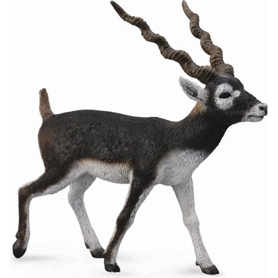 Collecta Antilopa jelenia