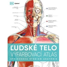 Ľudské telo - vyfarbovací atlas