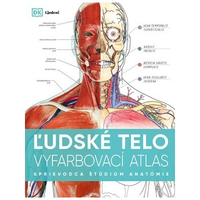 Ľudské telo - vyfarbovací atlas