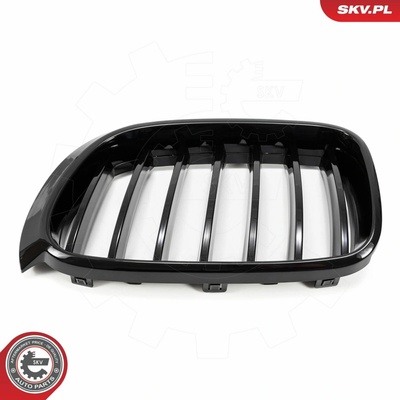 Mriežka chladiča ESEN SKV 66SKV254