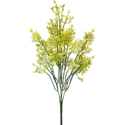 ZELEŇ WAXFLOWER ŽLTÝ 44CM