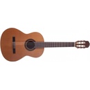Prodipe Guitars STUDENT
