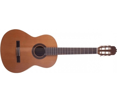 Prodipe Guitars STUDENT