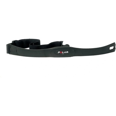 Polar T31